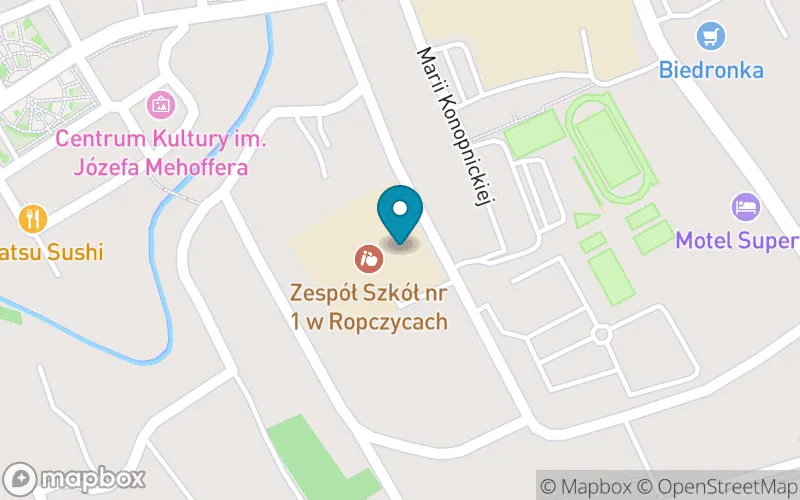 Lokalizacja: Szkoła Podstawowa nr 1 im. Mikołaja Kopernika w Ropczycach