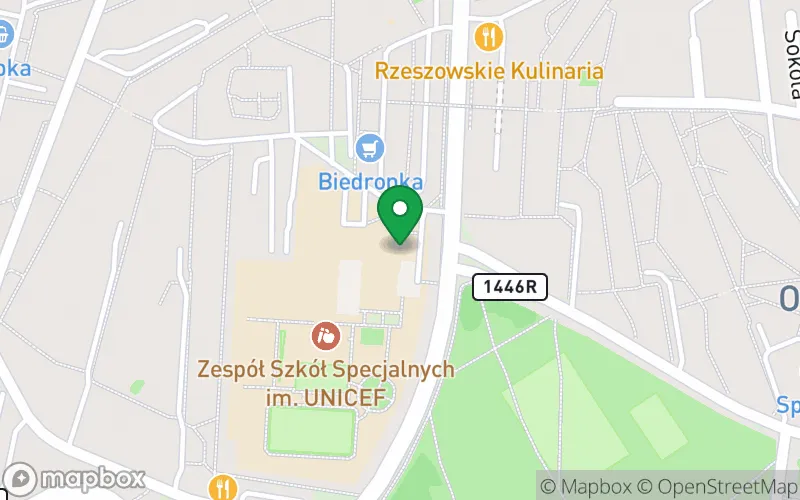 Lokalizacja: Specjalne Przedszkole Publiczne nr 30 w Rzeszowie