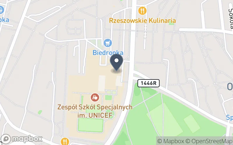 Lokalizacja: Zespół Szkół Specjalnych im. UNICEF w Rzeszowie