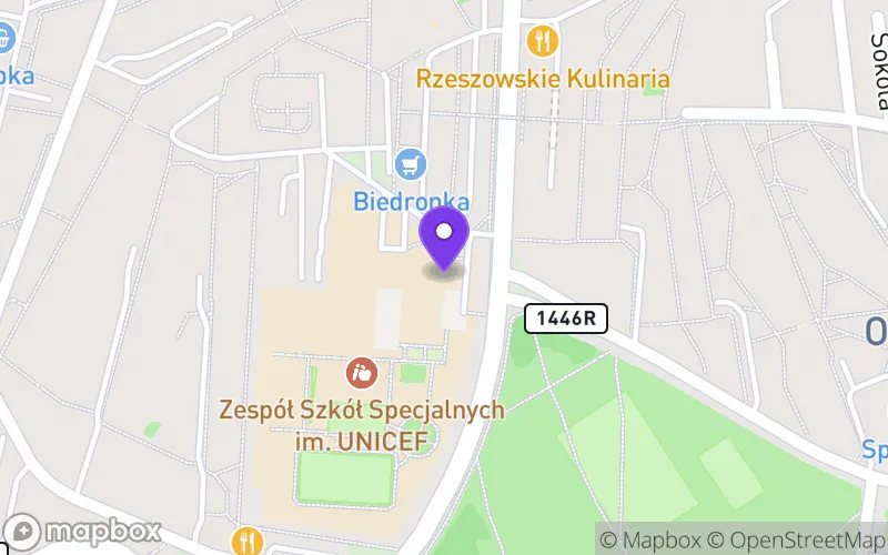 Lokalizacja: Branżowa Szkoła I Stopnia Specjalna nr 2
