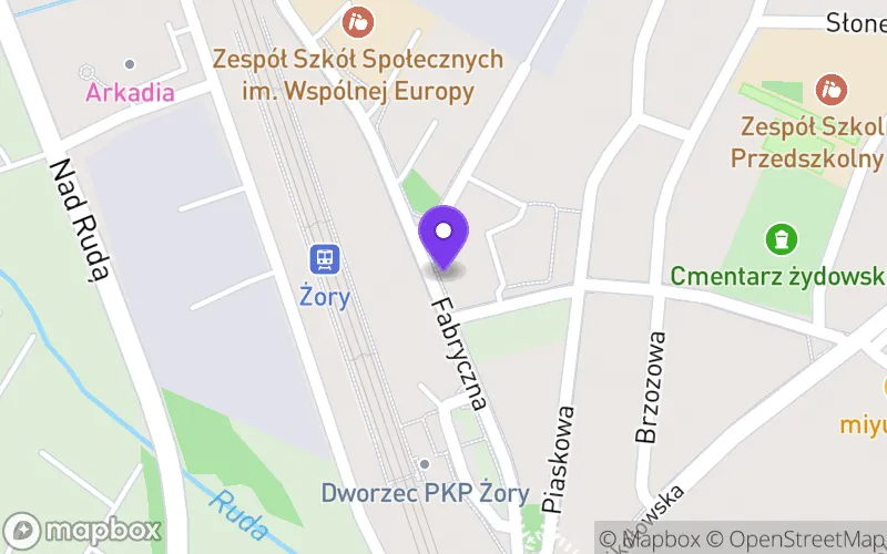 Lokalizacja: Niepubliczna Branżowa Szkoła II Stopnia w Żorach