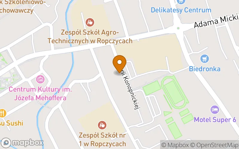 Lokalizacja: Niepubliczne Policealne Studium Zawodowe w Ropczycach