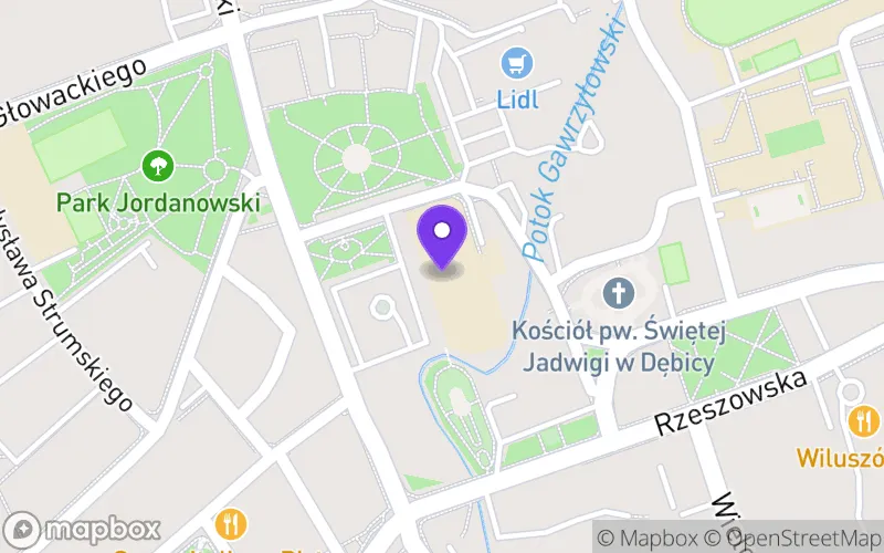 Lokalizacja: Państwowa Szkoła Muzyczna II St. w Dębicy