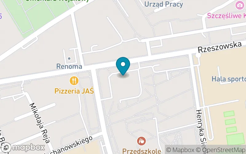 Lokalizacja: Niepubliczna Szkoła Podstawowa Specjalna "Ukryty Dar" w Dębicy