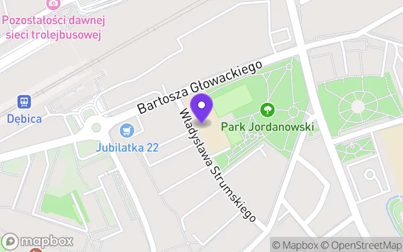 Lokalizacja: Technikum nr 4 w Dębicy