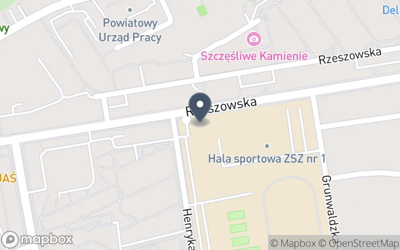 Lokalizacja: Zespół Szkół Zawodowych nr 1 im. Jana Pawła II w Dębicy