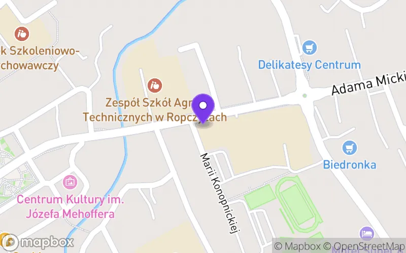 Lokalizacja: Liceum Ogólnokształcące im. Tadeusza Kościuszki w Ropczycach