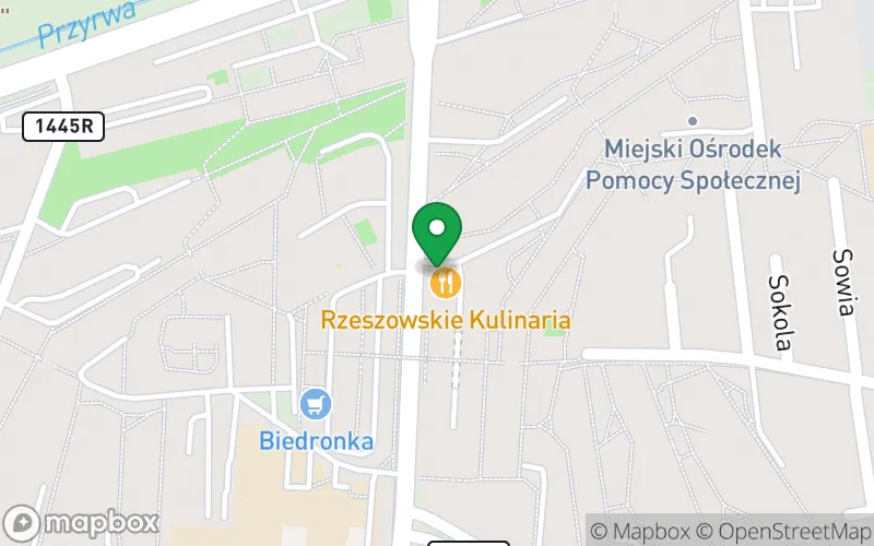 Lokalizacja: Niepubliczne Przedszkole "Kraina Szczęścia" w Rzeszowie