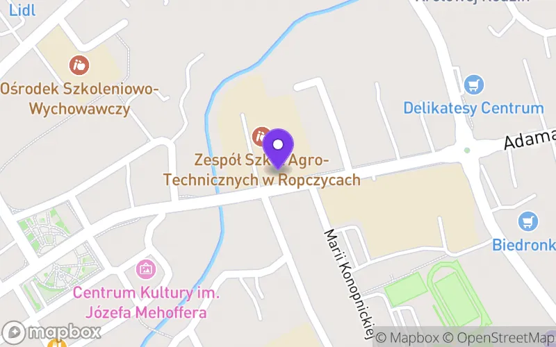 Lokalizacja: Branżowa Szkoła I Stopnia nr 2 w Ropczycach