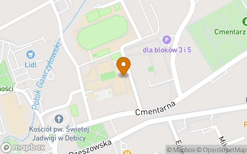 Lokalizacja: Policealna Szkoła Zawodowa Sigma w Dębicy