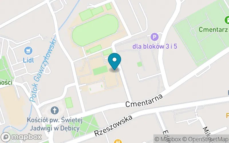 Lokalizacja: Niepubliczna Szkoła Podstawowa Mistrzostwa Sportowego Baltima Montessori w Dębicy