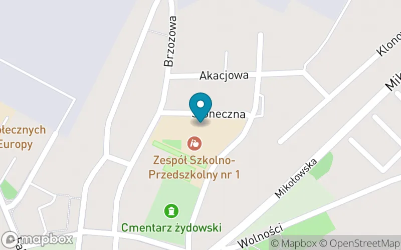 Lokalizacja: Szkoła Podstawowa nr 1 im. Janusza Korczaka w Żorach