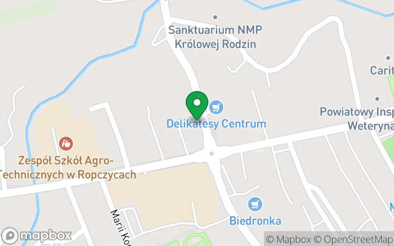 Lokalizacja: Niepubliczny Terapeutyczny Punkt Przedszkolny Zuzia w Ropczycach