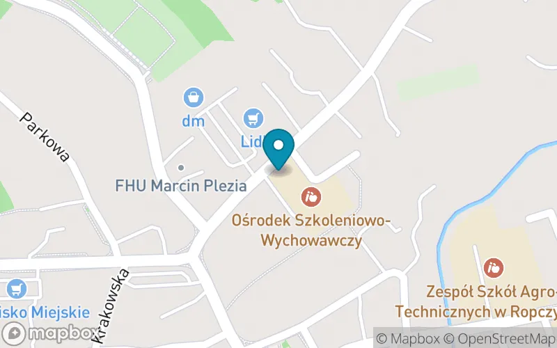 Lokalizacja: Szkoła Podstawowa nr 4 Specjalna w Ropczycach