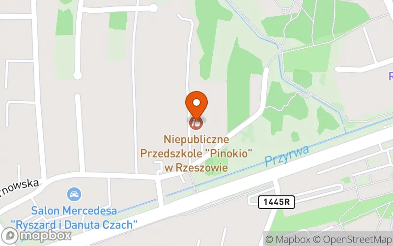 Lokalizacja: Niepubliczny Żłobek PINOKIORZESZOW sp. z o.o.