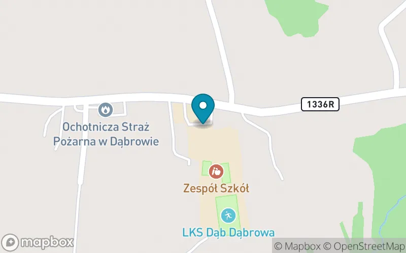 Lokalizacja: Szkoła Podstawowa im. Konstytucji 3 Maja w Dąbrowie
