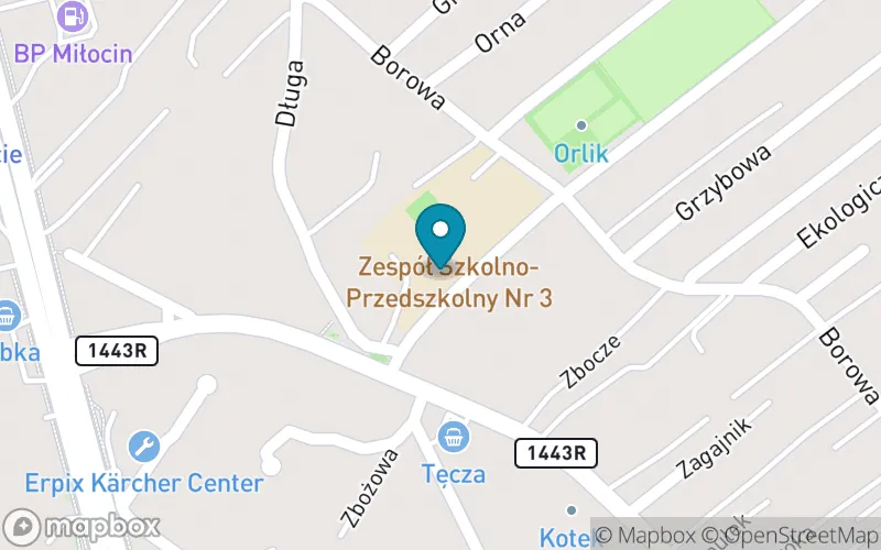 Lokalizacja: Szkoła Podstawowa nr 13 im. Św. Jana Kantego
