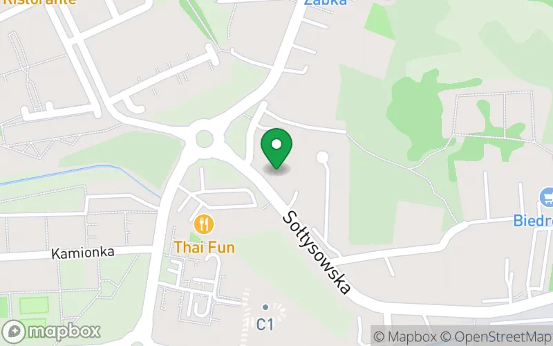 Lokalizacja: Niepubliczne Przedszkole Kids Academy w Krakowie