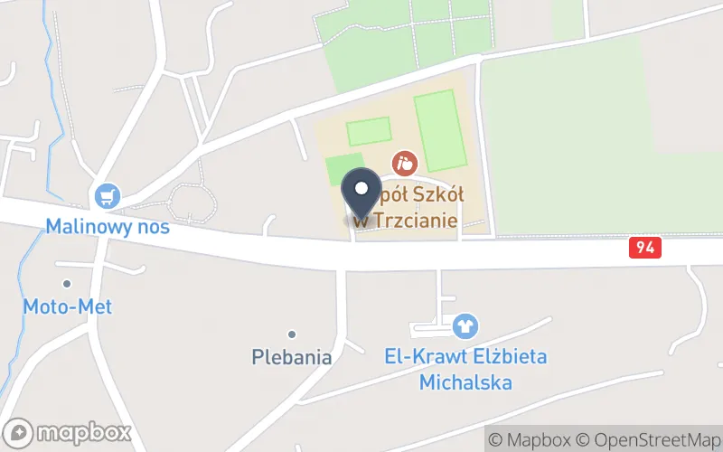 Lokalizacja: Zespół Szkół w Trzcianie