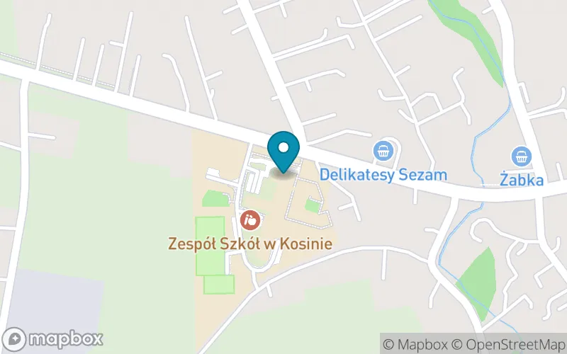 Lokalizacja: Szkoła Podstawowa im. Płk. Leopolda Lisa-Kuli w Kosinie
