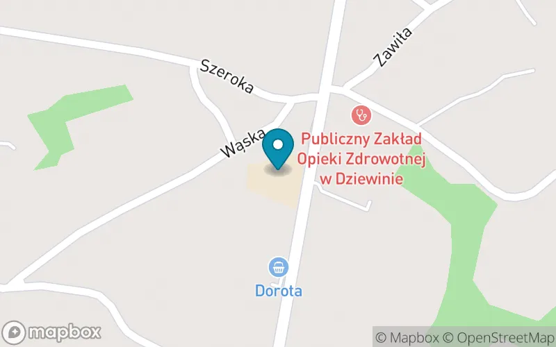 Lokalizacja: Szkoła Postawowa im. Henryka Sienkiewicza w Dziewinie