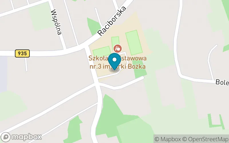 Lokalizacja: Szkoła Podstawowa nr 3 im. Arki Bożka