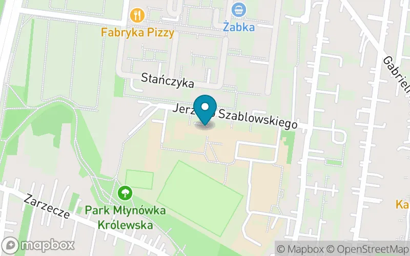 Lokalizacja: Niepubliczna Szkoła Podstawowa Mistrzostwa Sportowego im. Tadeusza Łopuszańskiego w Krakowie