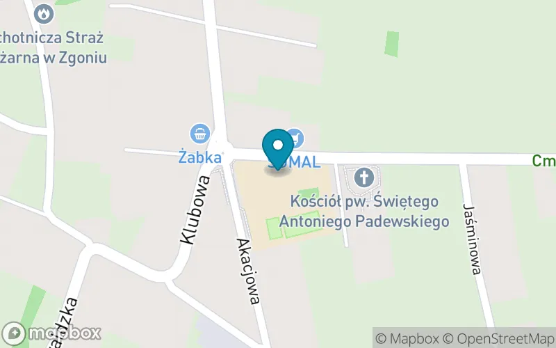 Lokalizacja: Szkoła Podstawowa nr 9 im. Władysława Broniewskiego w Orzeszu-Zgoniu