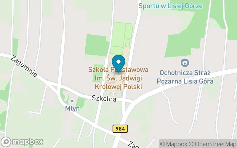 Lokalizacja: Szkoła Podstawowa im. Św. Jadwigi Królowej Polski w Lisiej Górze