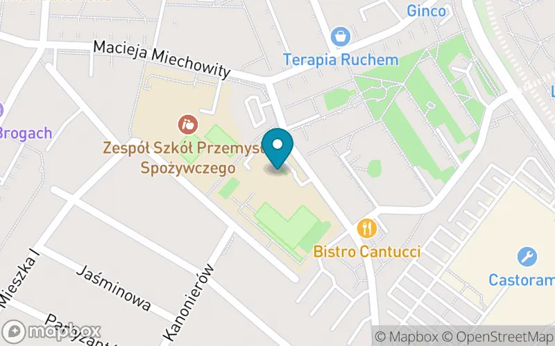 Lokalizacja: Społeczna Szkoła Podstawowa nr 7 Społecznego Towarzystwa Oświatowego im. Ks. Prof. Józefa Tischnera w Krakowie