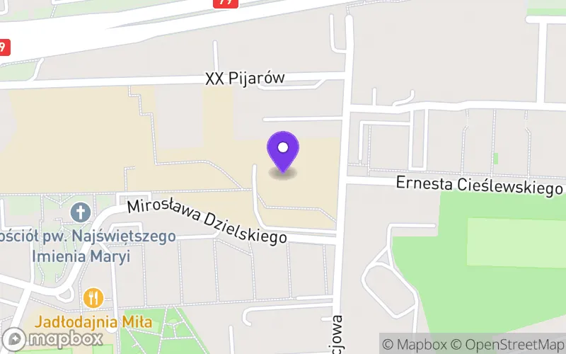 Lokalizacja: Liceum Ogólnokształcące Zakonu Pijarów im. Ks. Stanisława Konarskiego