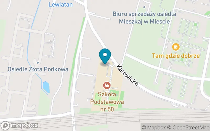 Lokalizacja: Szkoła Podstawowa nr 50 im. Włodzimierza Tetmajera w Krakowie