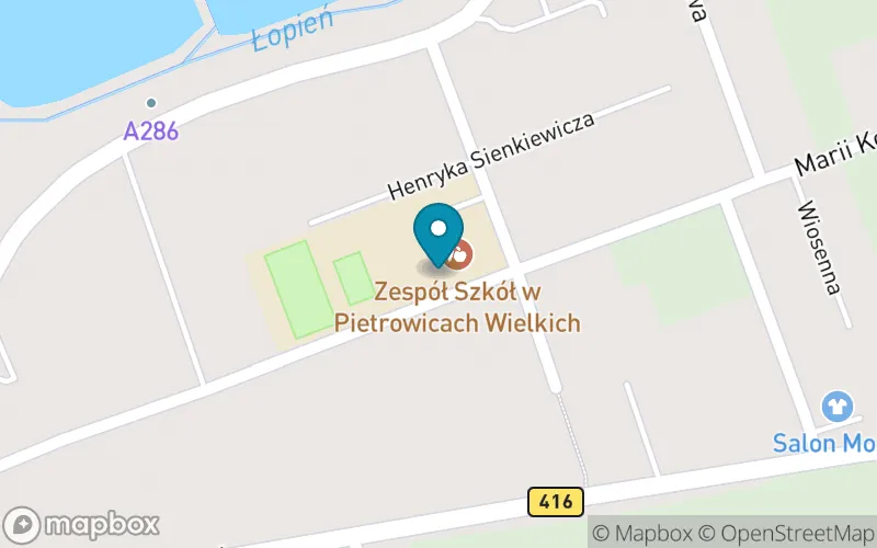 Lokalizacja: Szkoła Podstawowa IM Marii Skłodowskiej-Curie w Pietrowicach Wielkich