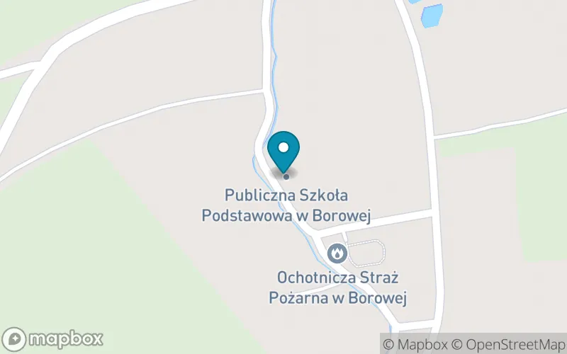 Lokalizacja: Publiczna Szkoła Podstawowa w Borowej