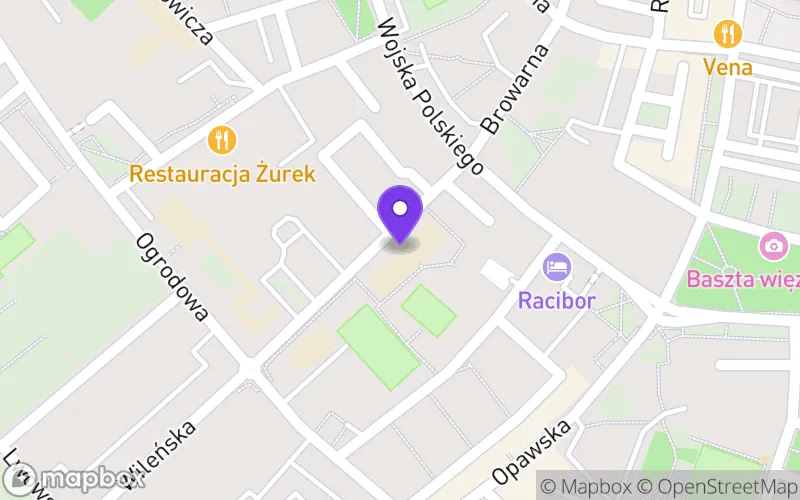 Lokalizacja: Branżowa Szkoła I Stopnia nr 2 w Raciborzu