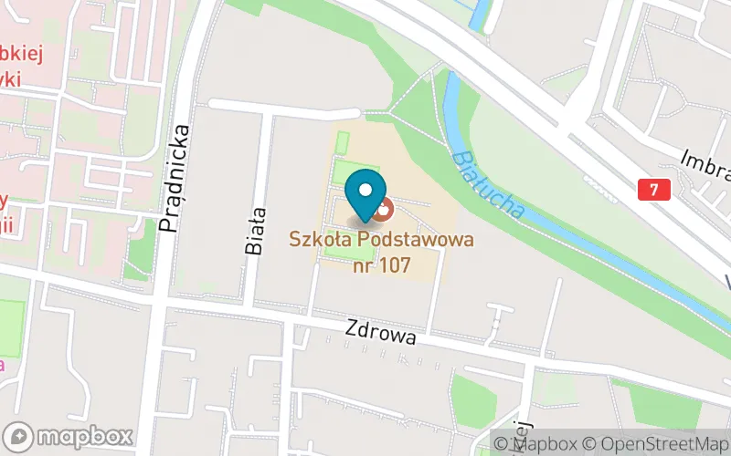 Lokalizacja: Szkoła Podstawowa z Oddziałami Integracyjnymi nr 107 im. Tadeusza Boya-Żeleńskiego w Krakowie