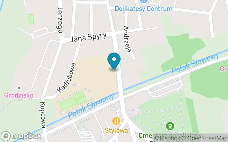 Lokalizacja: Niepubliczna Szkoła Muzyczna I Stopnia w Bieruniu