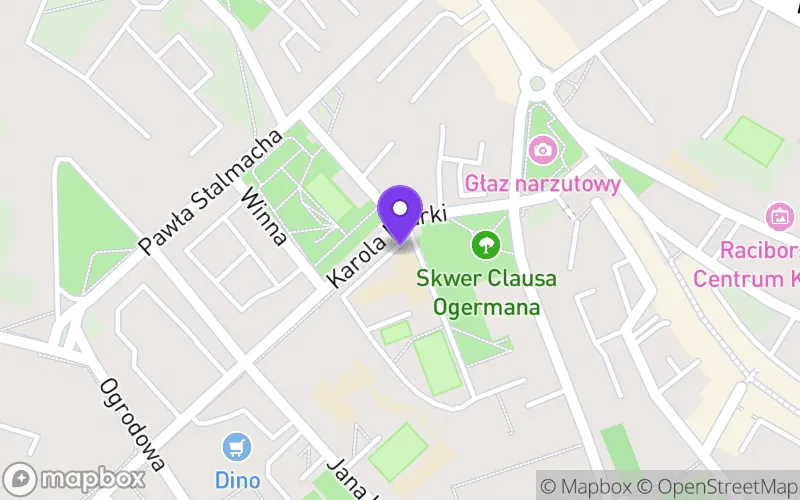 Lokalizacja: Branżowa Szkoła I Stopnia Specjalna nr 5 w Raciborzu
