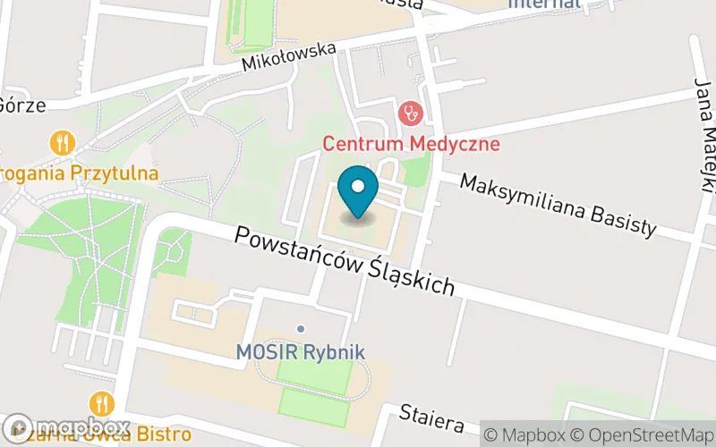 Lokalizacja: Państwowa Szkoła Muzyczna i St. w Rybniku