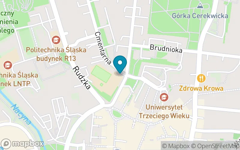 Lokalizacja: Szkoła Podstawowa z Oddziałami Mistrzostwa Sportowego nr 9 im. Adama Mickiewicza w Rybniku