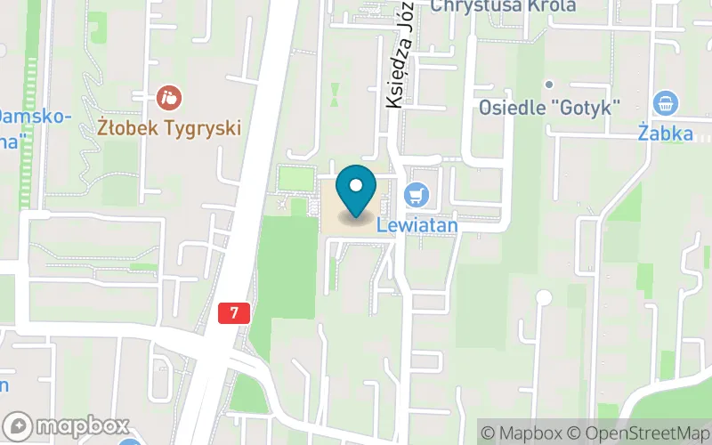Lokalizacja: Szkoła Podstawowa nr 13 im. Stefanii Wilczyńskiej w Krakowie