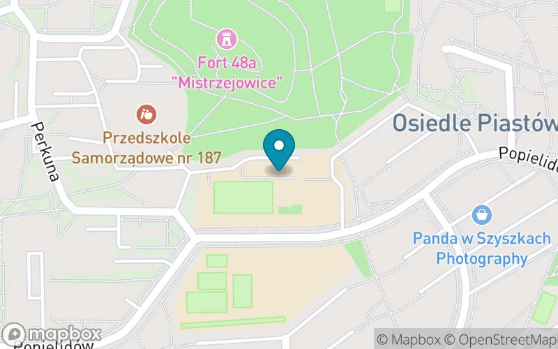 Lokalizacja: Szkoła Podstawowa nr 89 im. Kornela Makuszyńskiego w Krakowie