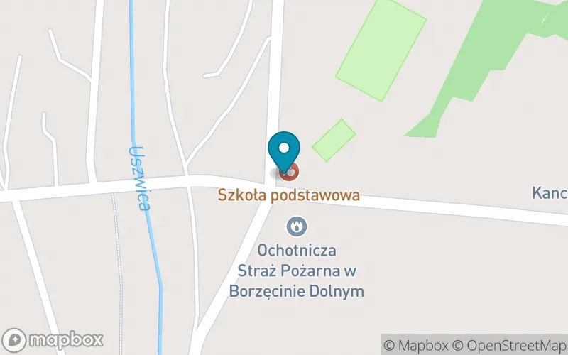 Lokalizacja: Publiczna Szkoła Podstawowa im. Kazimierza Wielkiego w Borzęcinie Dolnym