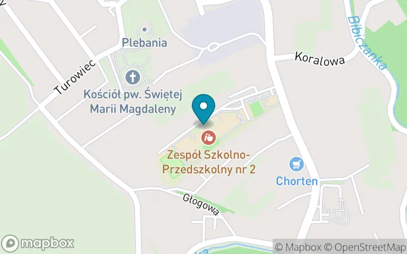 Lokalizacja: Szkoła Podstawowa nr 68 im. Jerzego Bińczyckiego w Krakowie
