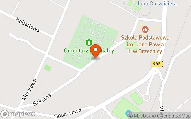 Lokalizacja: Żłobek Gminny w Brzeźnicy