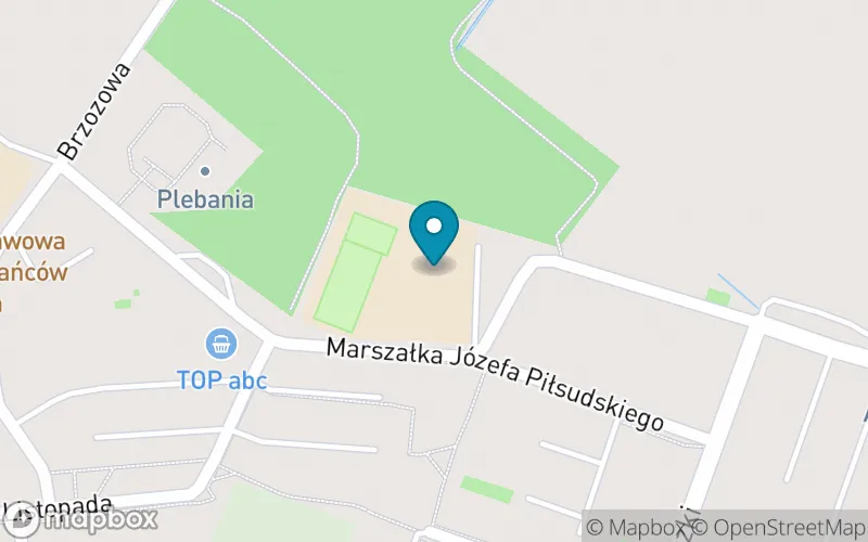 Lokalizacja: Szkoła Podstawowa nr 2 im. Powstańców Śląskich w Chełmku