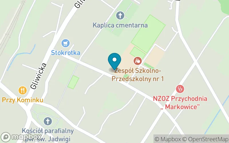 Lokalizacja: Szkoła Podstawowa nr 14 im. Arki Bożka