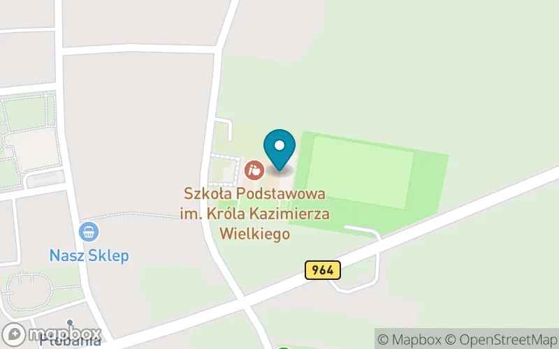 Lokalizacja: Publiczna Szkoła Podstawowa im. Króla Kazimierza Wielkiego w Uściu Solnym