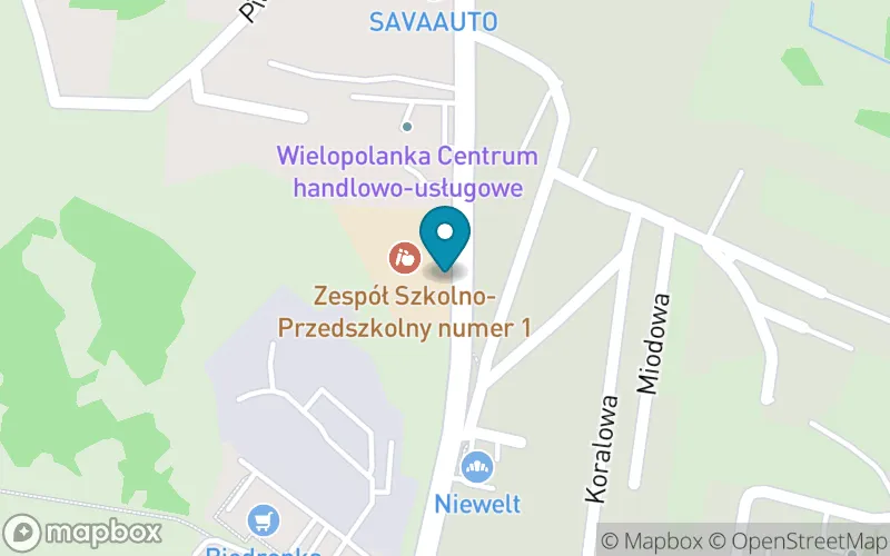 Lokalizacja: Szkoła Podstawowa nr 8 im. Władysława Webera w Zespole Szkolno-Przedszkolnym z Oddziałami Integracyjnymi nr 1 w Rybniku