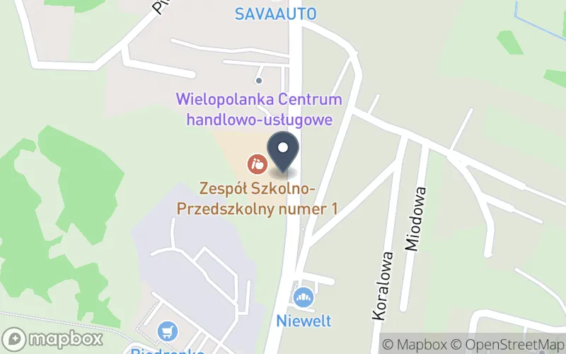 Lokalizacja: Zespół Szkolno-Przedszkolny z Oddziałami Integracyjnymi nr 1 w Rybniku